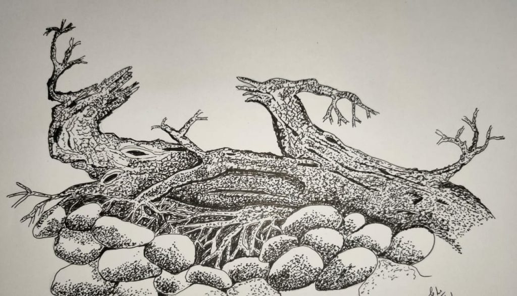 Old age tree drawing(East or west Home is best)