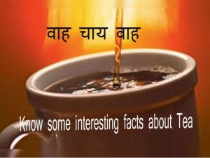 Know some interesting facts about tea