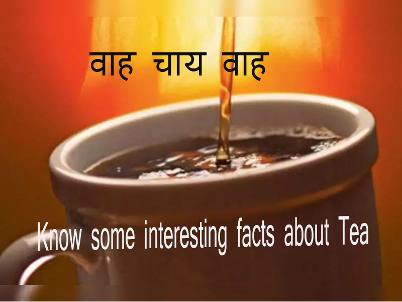 Know some interesting facts about tea