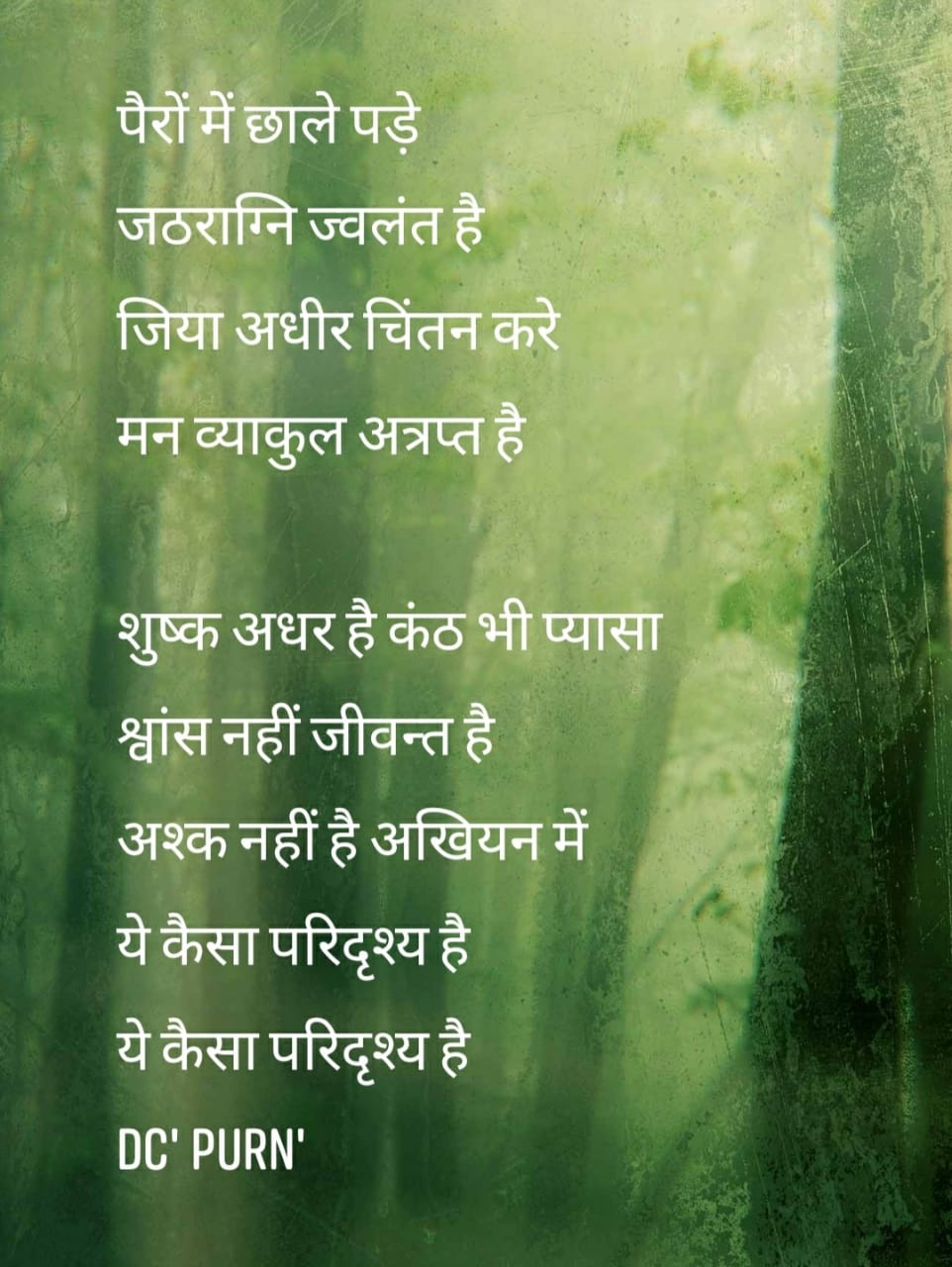 कुछ चुनिंदा शायरियां डॉ दिनेश द्वारा रचित