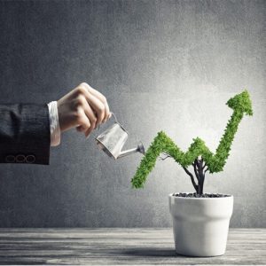 How to grow your business