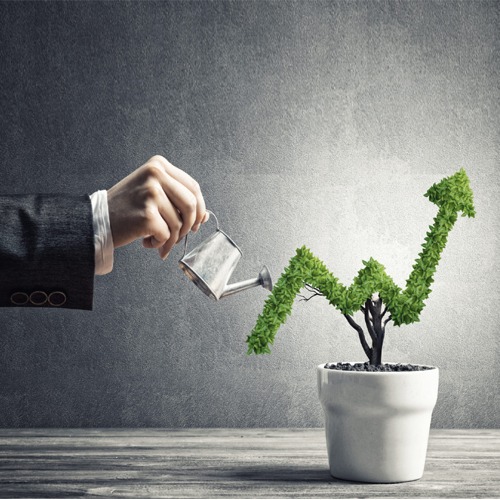How to grow your business
