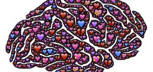 Know yur cupid Brain- Helical brain