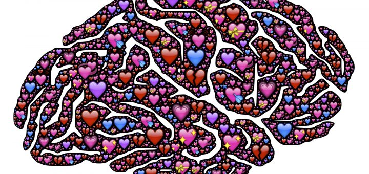 Know yur cupid Brain- Helical brain