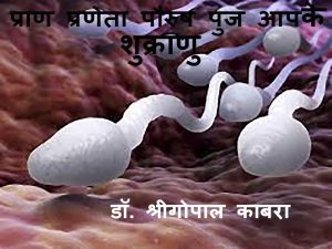प्राण प्रणेता पौरुष पुंज आपके शुक्राणु डॉ. श्रीगोपाल काबरा