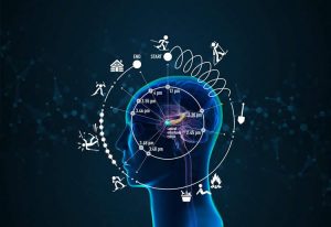 Perception and memory-संवेगो का संगम, अनुभूति एवं स्मृति