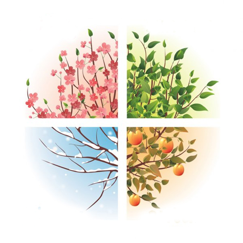 Lesson from four season of nature