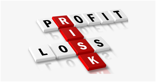 Profit and loss risk taking