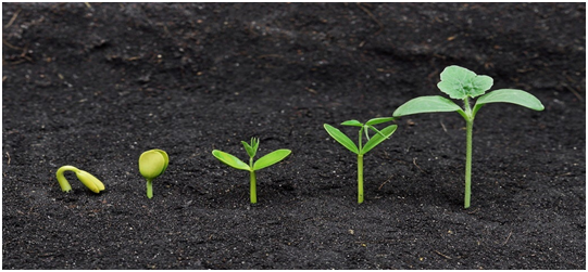 Mother nature grow