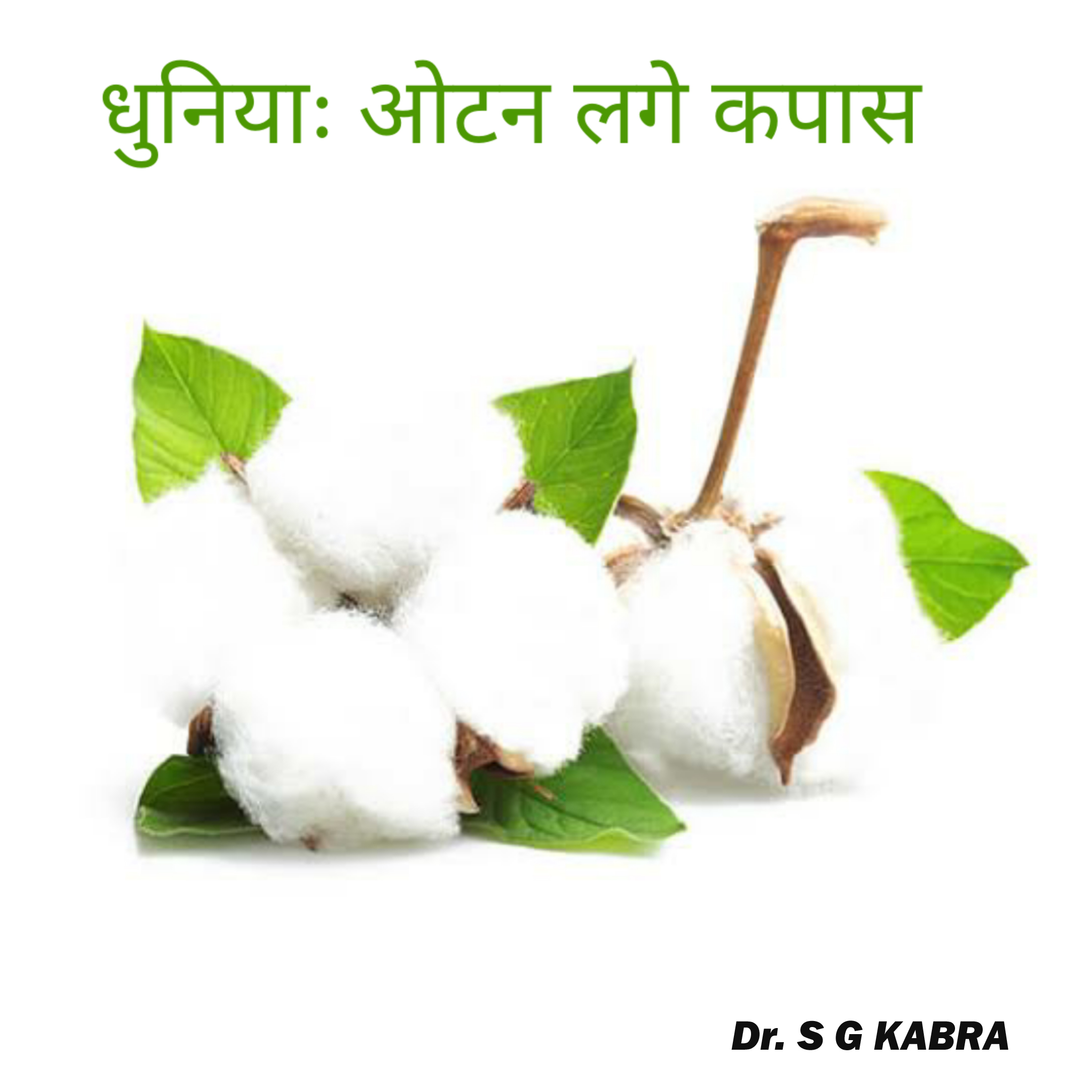 धुनियाः ओटन लगे कपास -लेख डॉ एस जी काबरा “