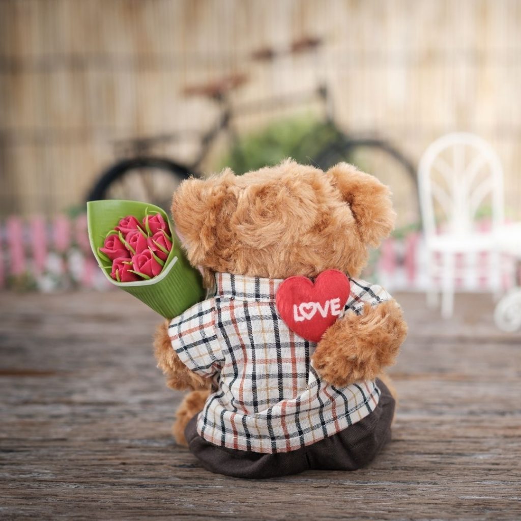 teddy