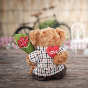 teddy